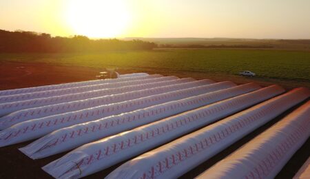 Silobolsas Todos los Campos en CamposYa.com.ar donde publicas gratis tu campo