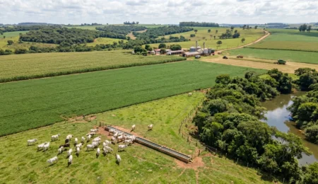 Campo agrícola y ganadero en Argentina para arrendamientos rurales