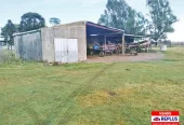 Campo Mixto en Carlos Tejedor 404 Has