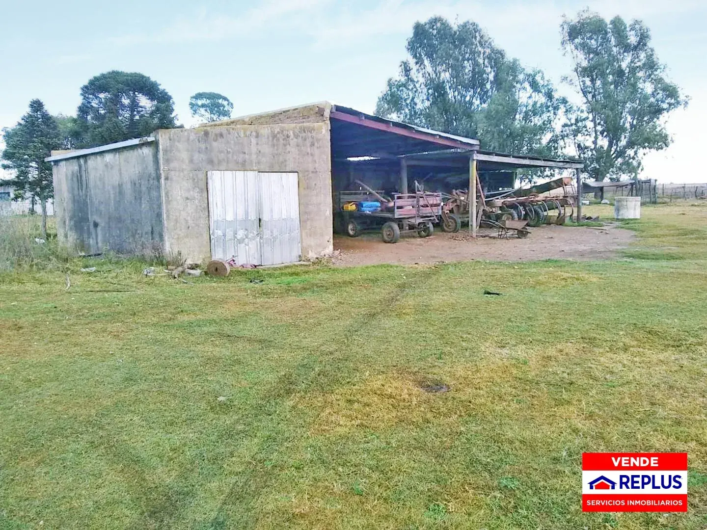 Campo Mixto en Carlos Tejedor 404 Has