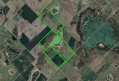 Campo Mixto en Carlos Tejedor 404 Has