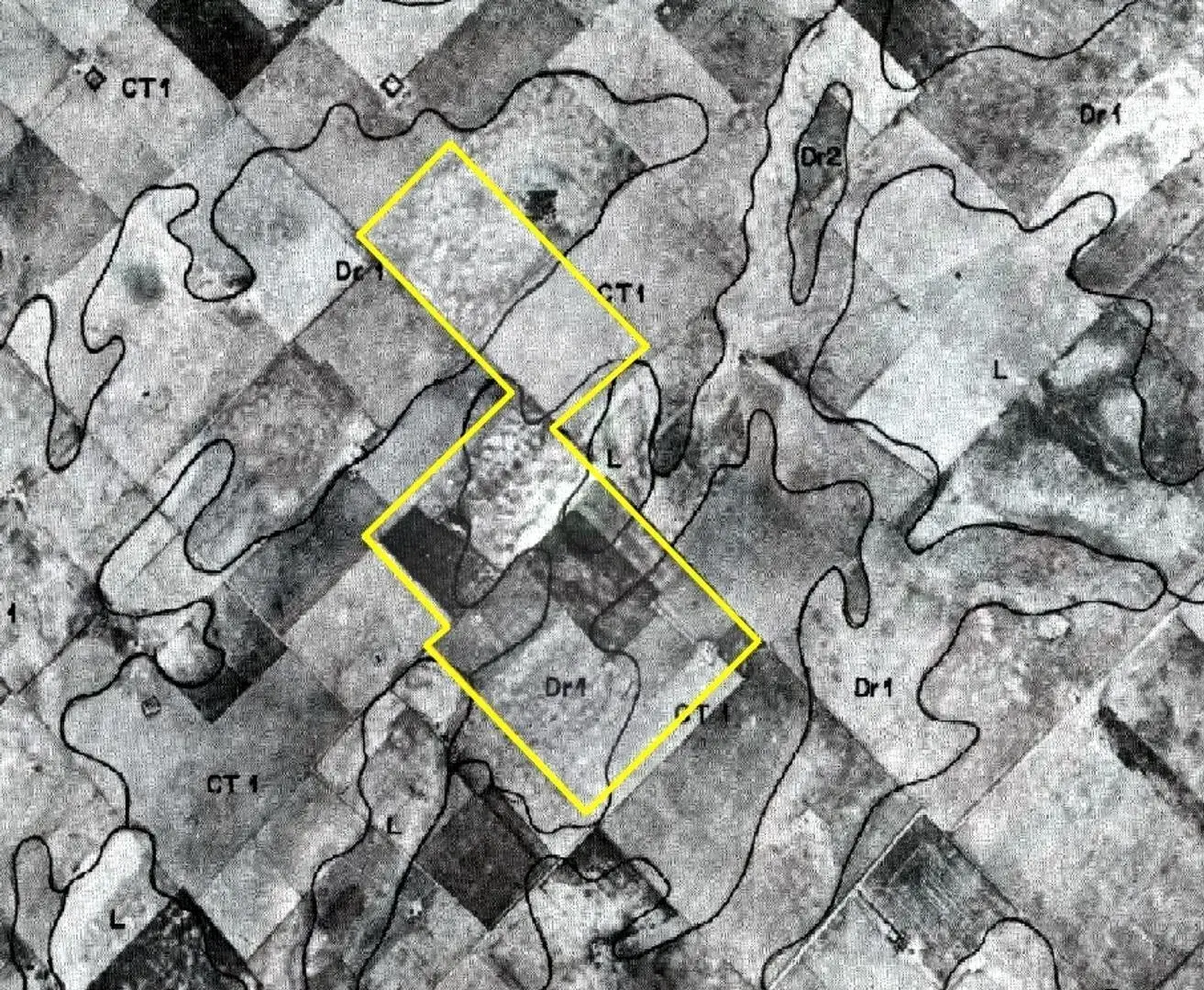 Campo Mixto en Carlos Tejedor 404 Has