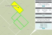 Campo Mixto en Carlos Tejedor 404 Has