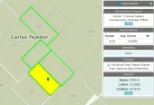 Campo Mixto en Carlos Tejedor 404 Has