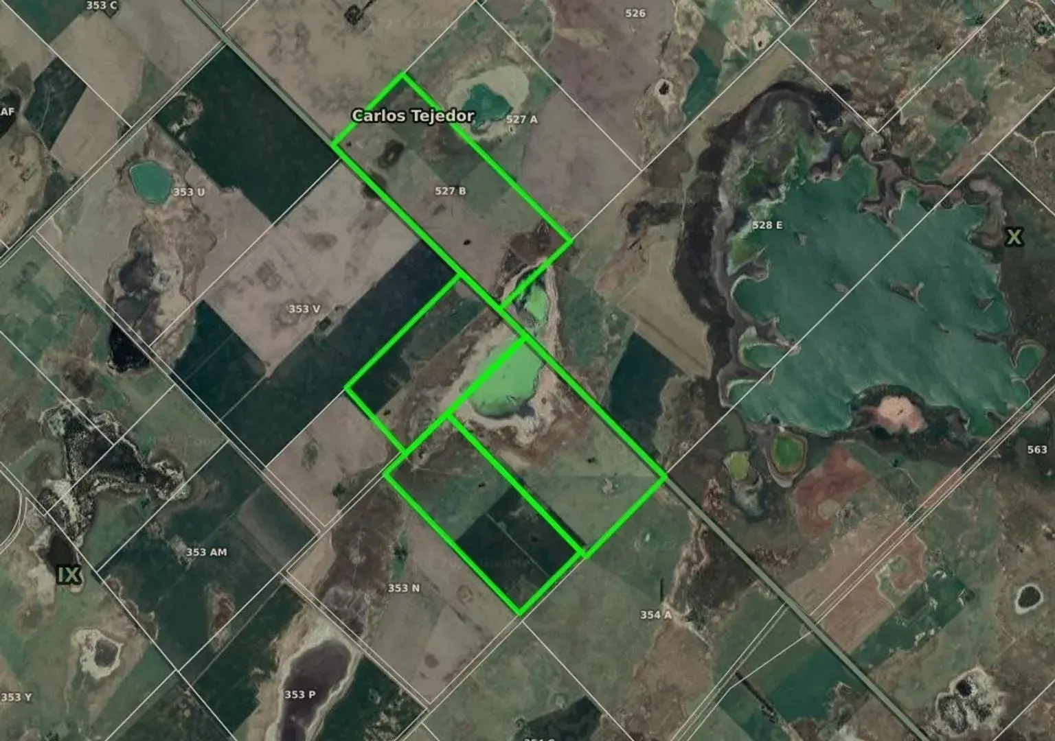 Campo Mixto en Carlos Tejedor 404 Has