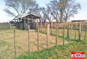 Campo Mixto en Carlos Tejedor 404 Has