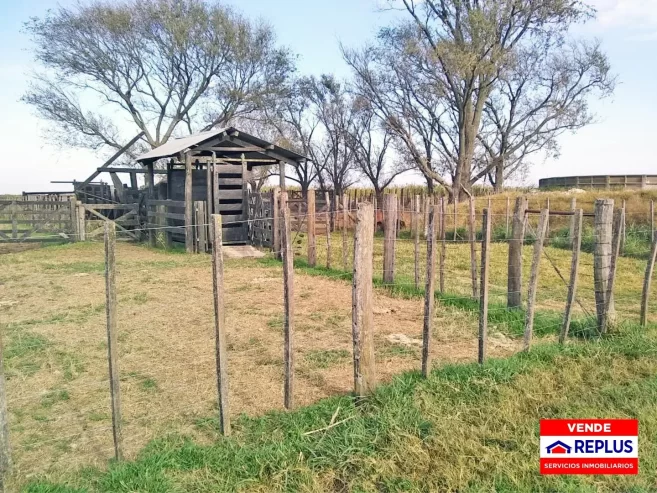Campo Mixto en Carlos Tejedor 404 Has