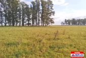 Campo Mixto en Carlos Tejedor 404 Has