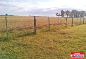 Campo Mixto en Carlos Tejedor 404 Has