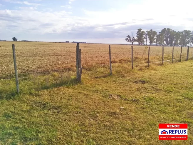 Campo Mixto en Carlos Tejedor 404 Has