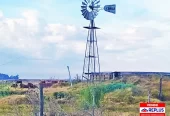 Campo Mixto en Carlos Tejedor 404 Has