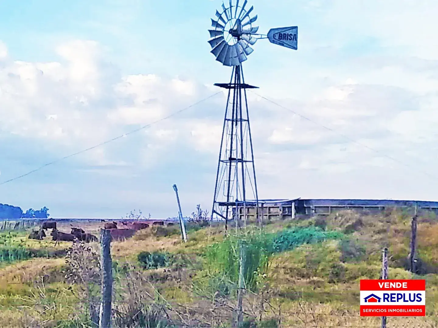 Campo Mixto en Carlos Tejedor 404 Has