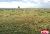 Campo Mixto en Carlos Tejedor 404 Has