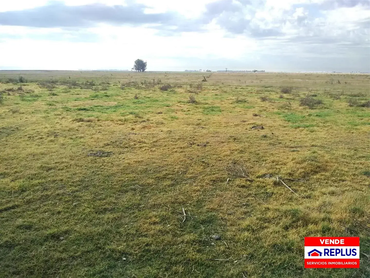 Campo Mixto en Carlos Tejedor 404 Has