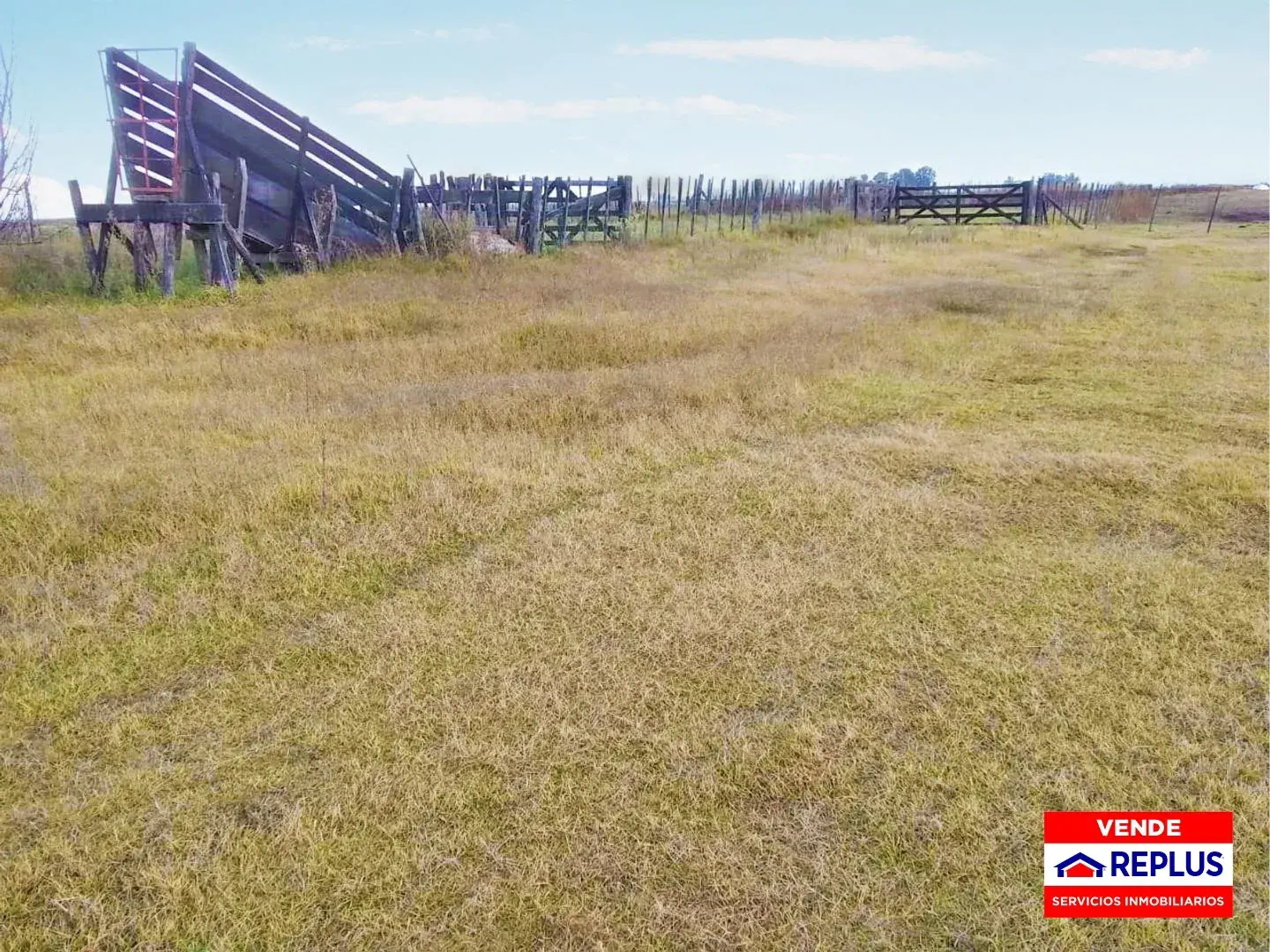 Campo Mixto en Carlos Tejedor 404 Has