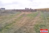 Campo Mixto en Carlos Tejedor 404 Has