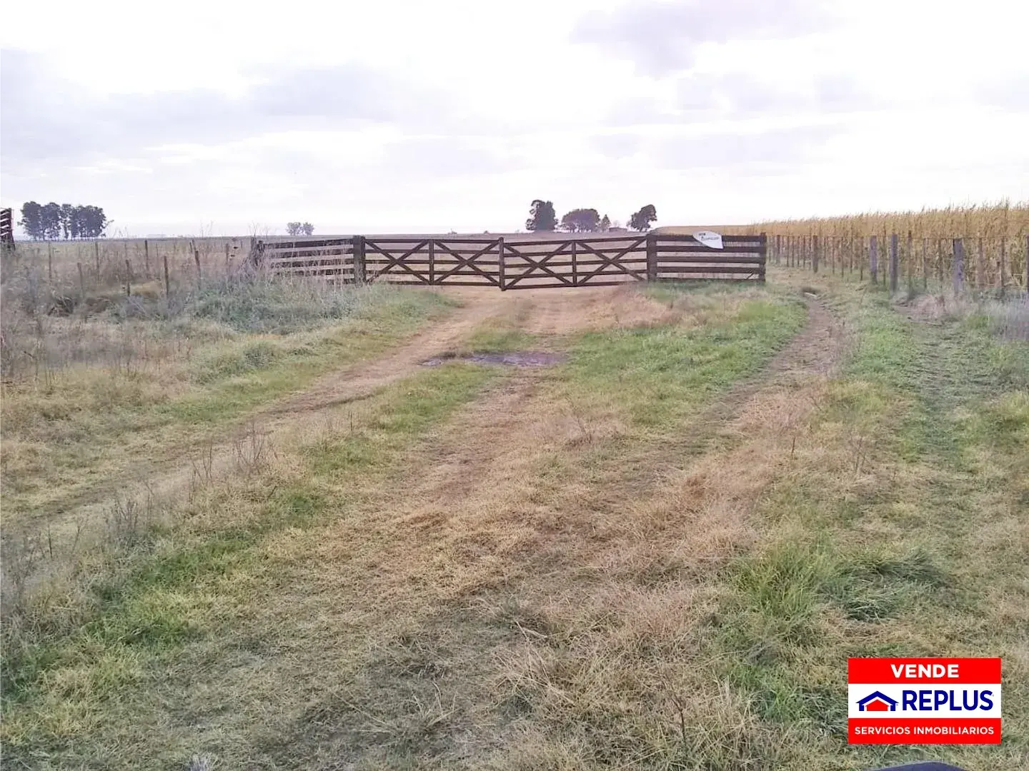 Campo Mixto en Carlos Tejedor 404 Has