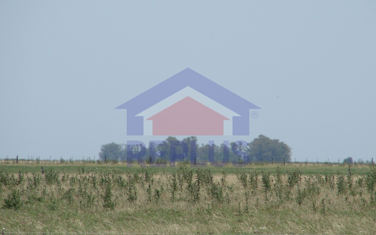 Campo 42 Héctáreas, Pehuajó, BA 6450