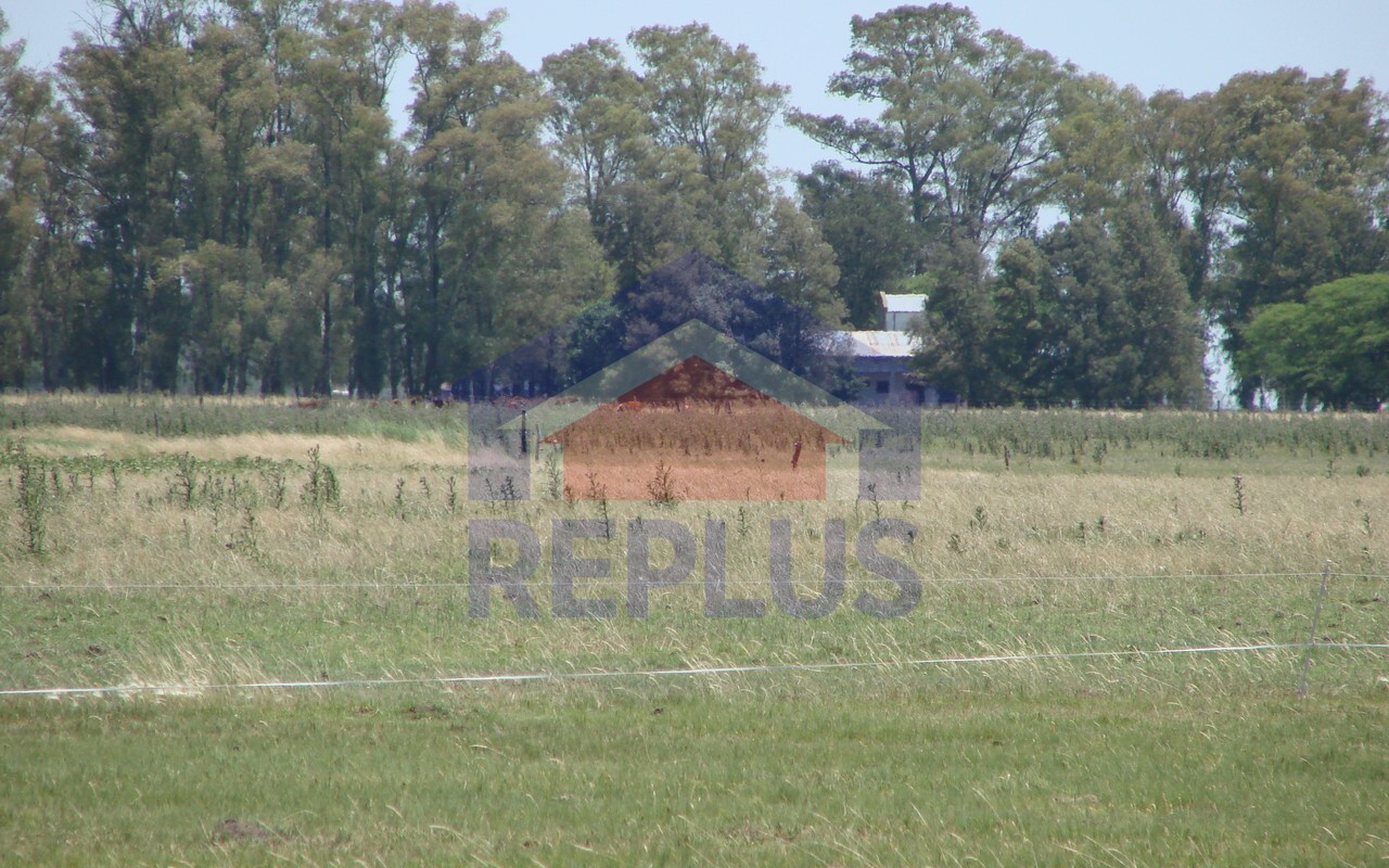 Campo 42 Héctáreas, Pehuajó, BA 6450