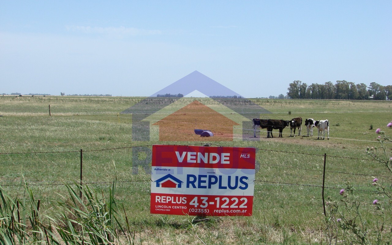 Campo 42 Héctáreas, Pehuajó, BA 6450