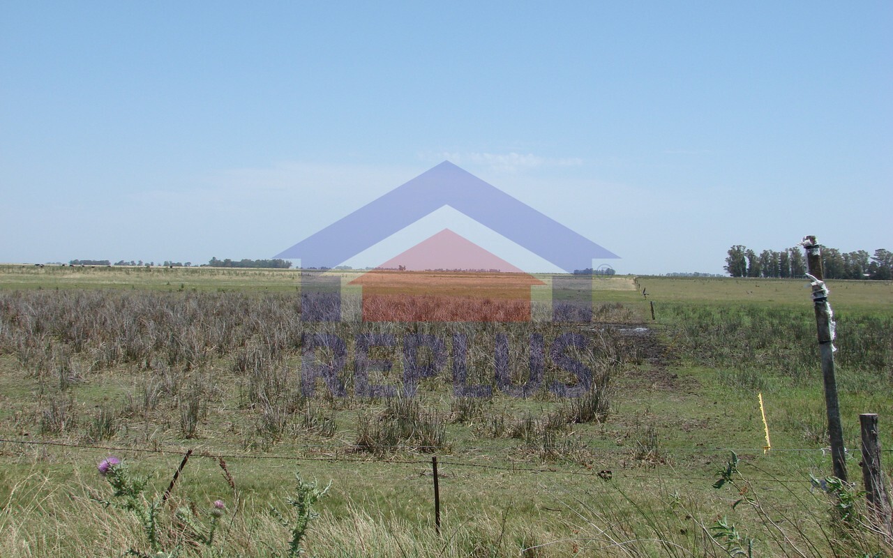 Campo 42 Héctáreas, Pehuajó, BA 6450