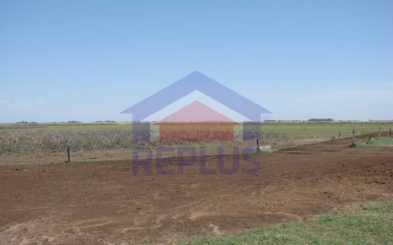 Campo 42 Héctáreas, Pehuajó, BA 6450