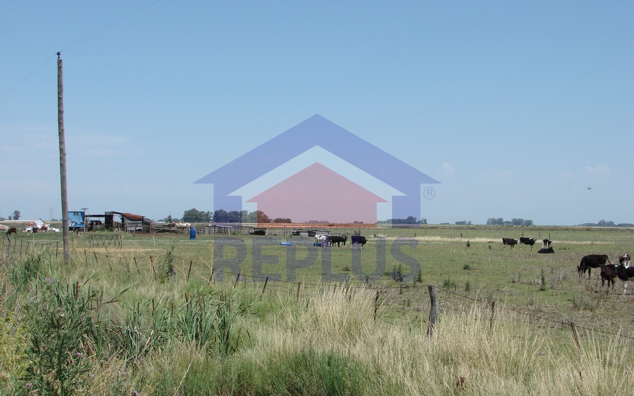 Campo 42 Héctáreas, Pehuajó, BA 6450