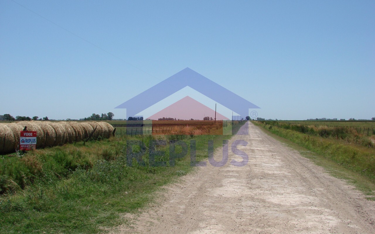 Campo 42 Héctáreas, Pehuajó, BA 6450