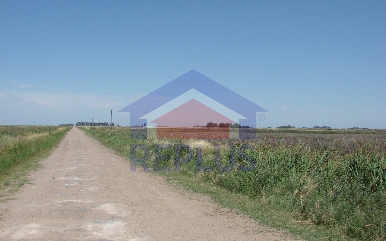 Campo 42 Héctáreas, Pehuajó, BA 6450