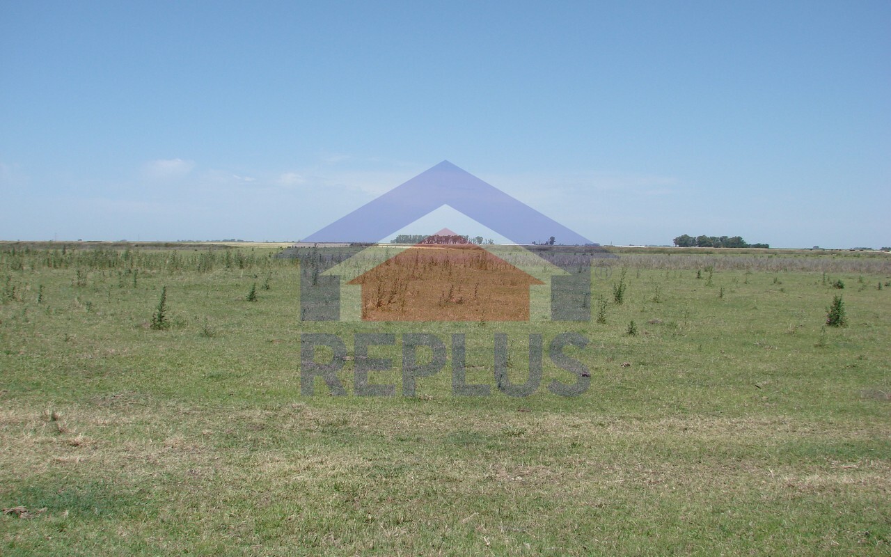 Campo 42 Héctáreas, Pehuajó, BA 6450