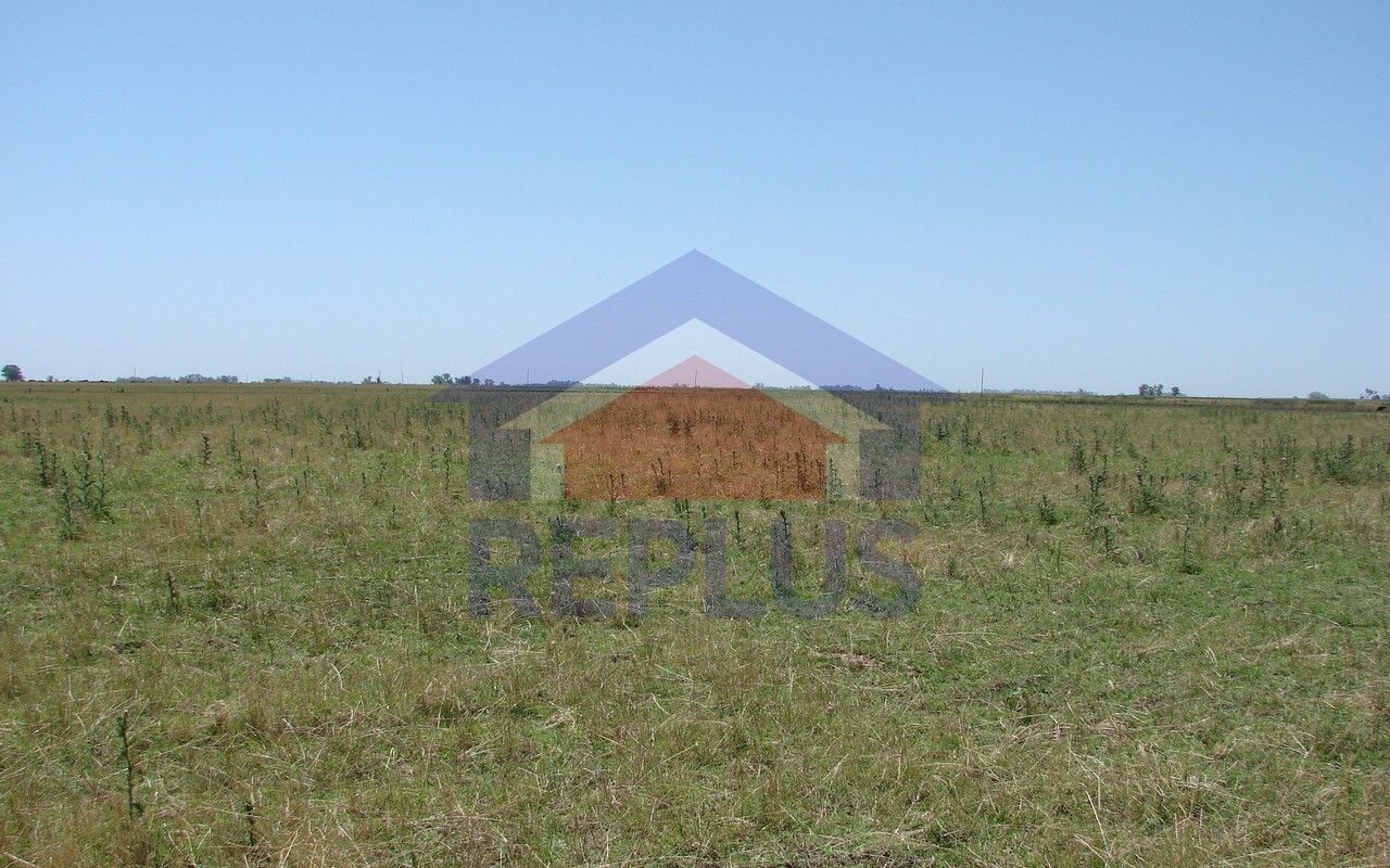 Campo 42 Héctáreas, Pehuajó, BA 6450