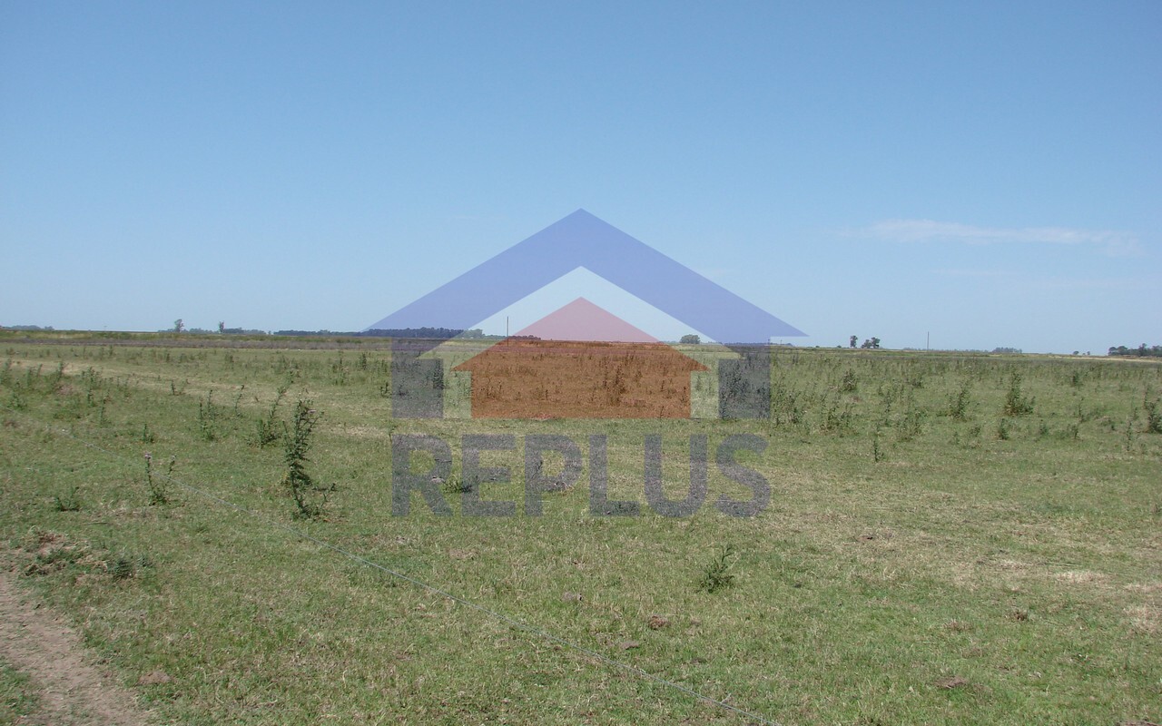 Campo 42 Héctáreas, Pehuajó, BA 6450