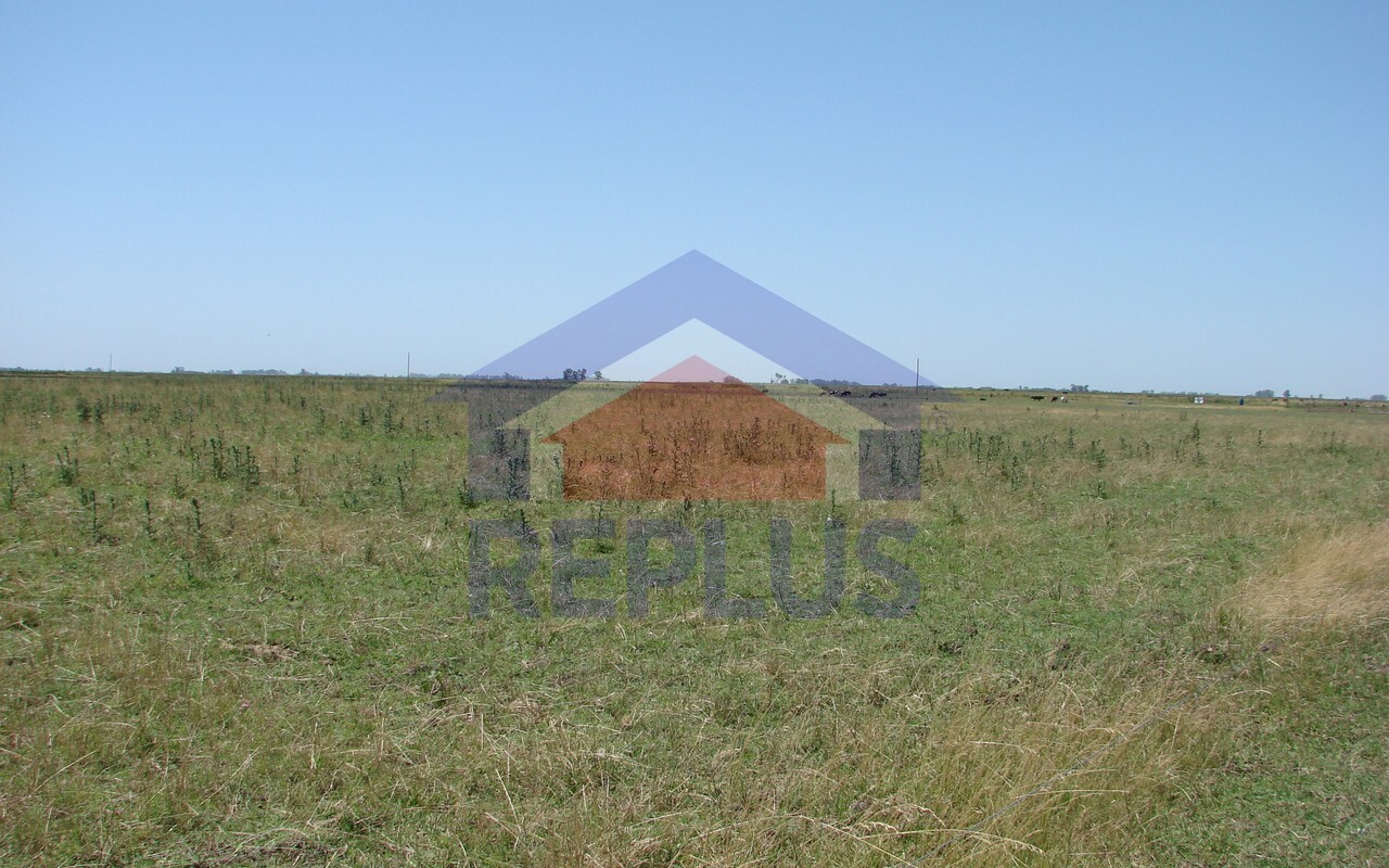 Campo 42 Héctáreas, Pehuajó, BA 6450