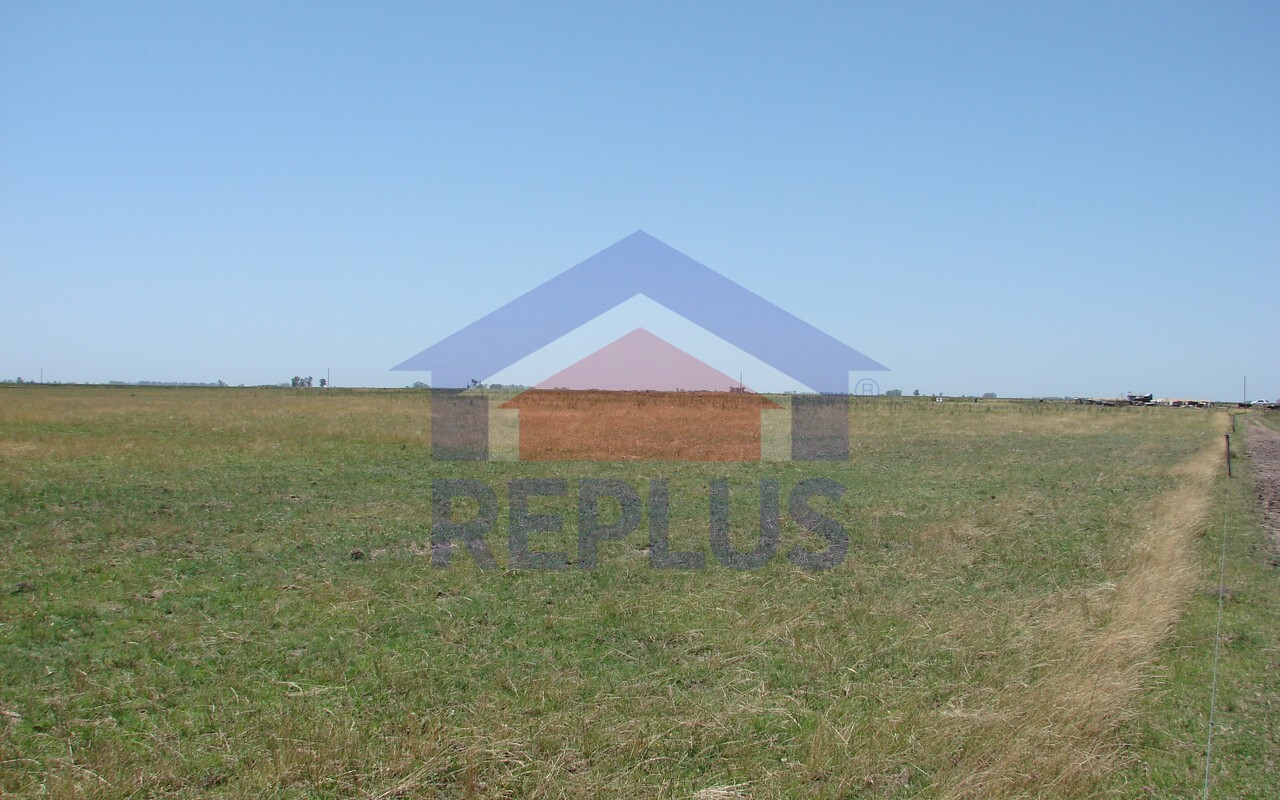 Campo 42 Héctáreas, Pehuajó, BA 6450