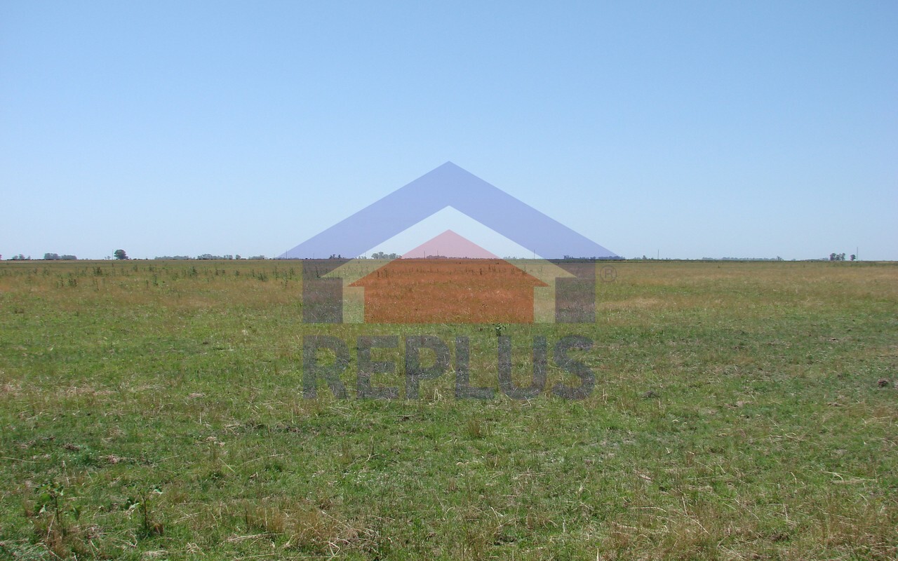 Campo 42 Héctáreas, Pehuajó, BA 6450