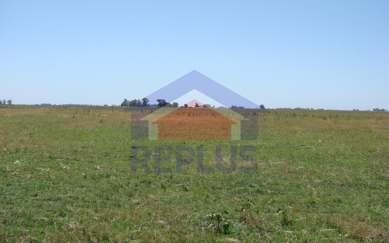 Campo 42 Héctáreas, Pehuajó, BA 6450