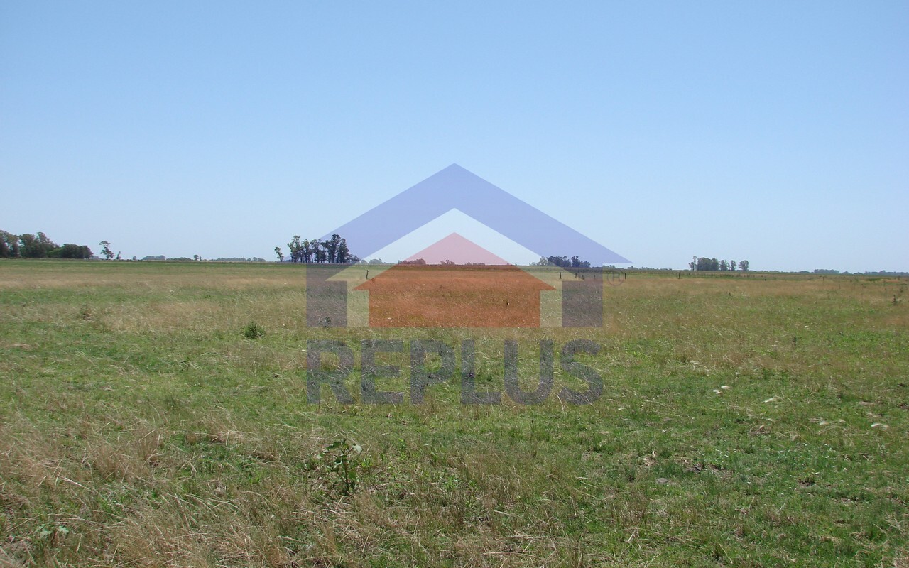 Campo 42 Héctáreas, Pehuajó, BA 6450