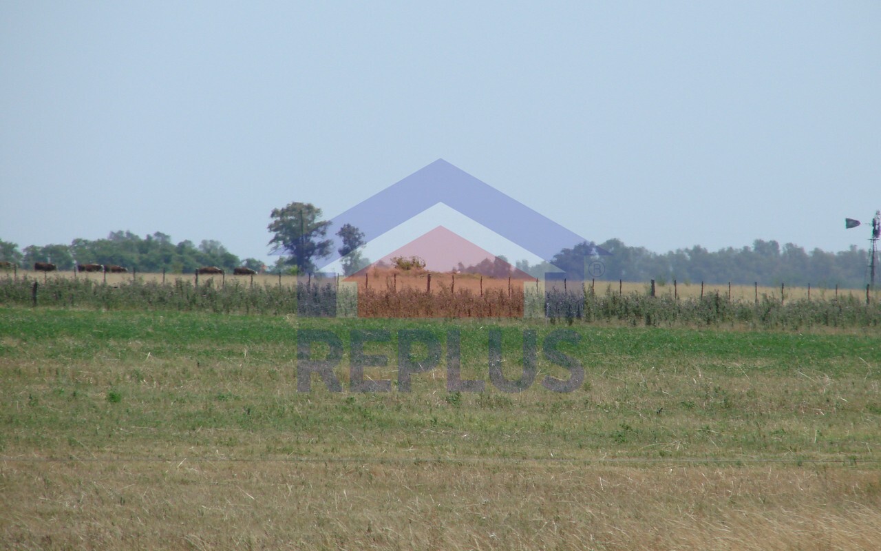 Campo 42 Héctáreas, Pehuajó, BA 6450