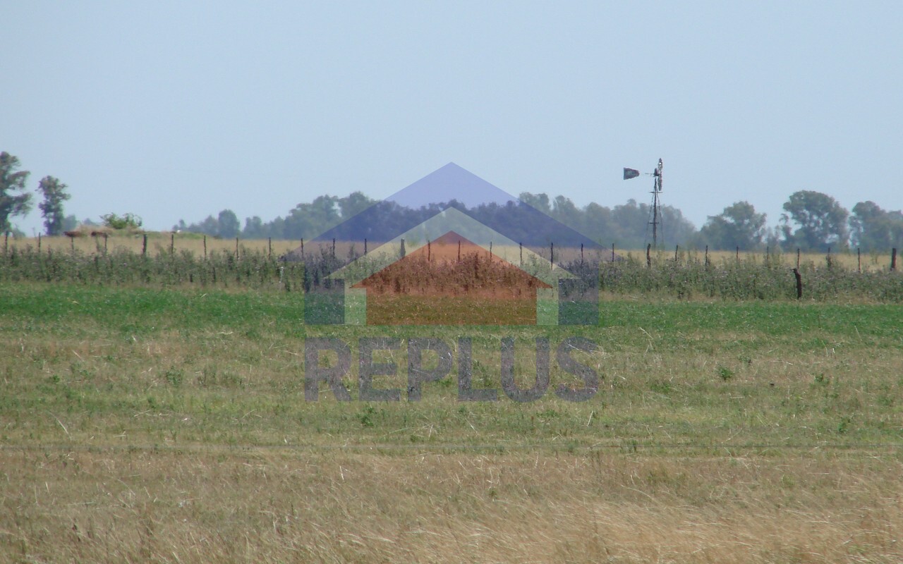 Campo 42 Héctáreas, Pehuajó, BA 6450