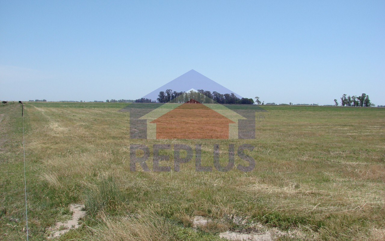 Campo 42 Héctáreas, Pehuajó, BA 6450