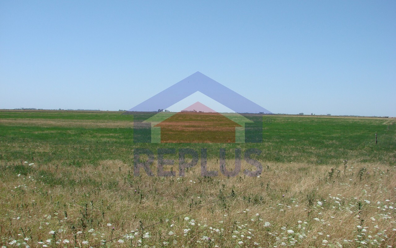 Campo 42 Héctáreas, Pehuajó, BA 6450