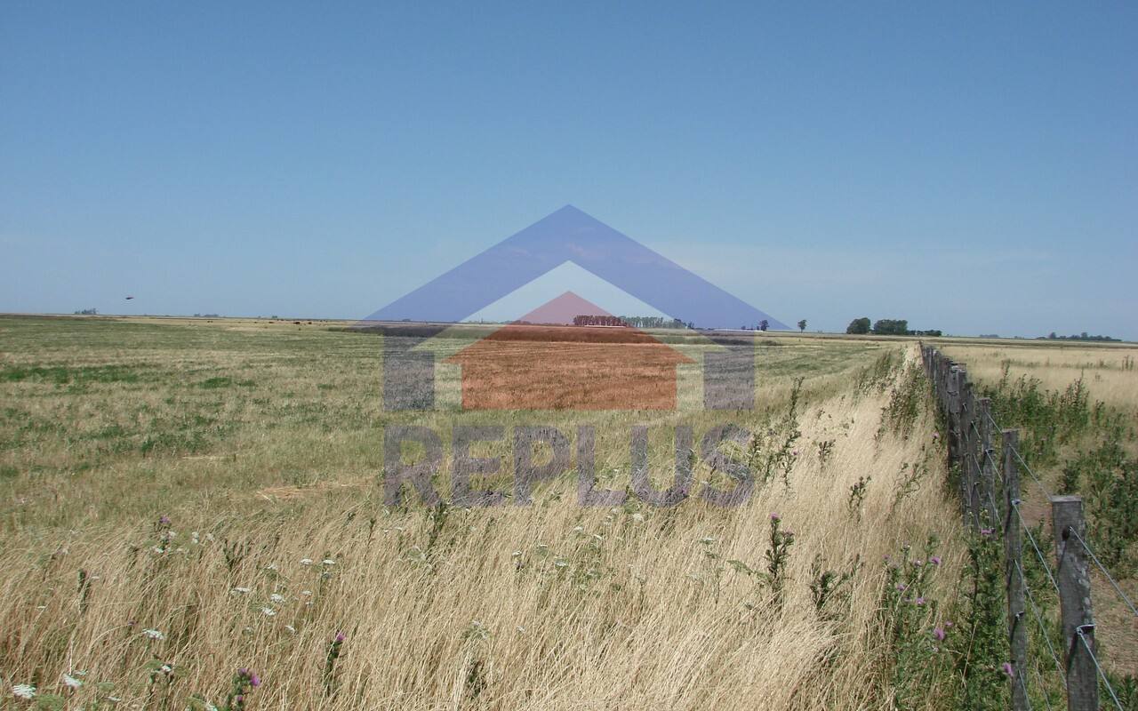 Campo 42 Héctáreas, Pehuajó, BA 6450