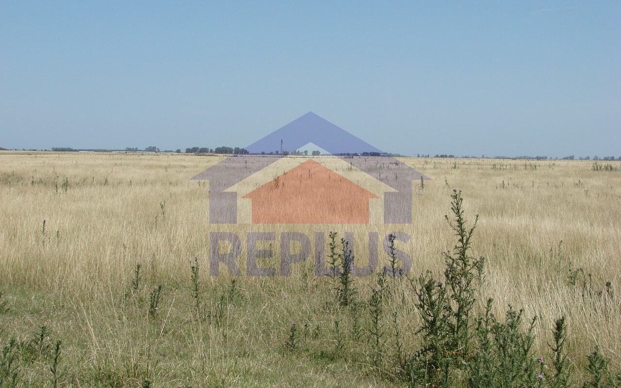 Campo 42 Héctáreas, Pehuajó, BA 6450