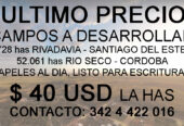 CAMPOS A DESARROLLAR
