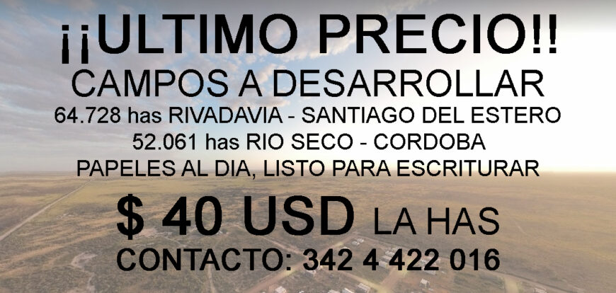 CAMPOS A DESARROLLAR
