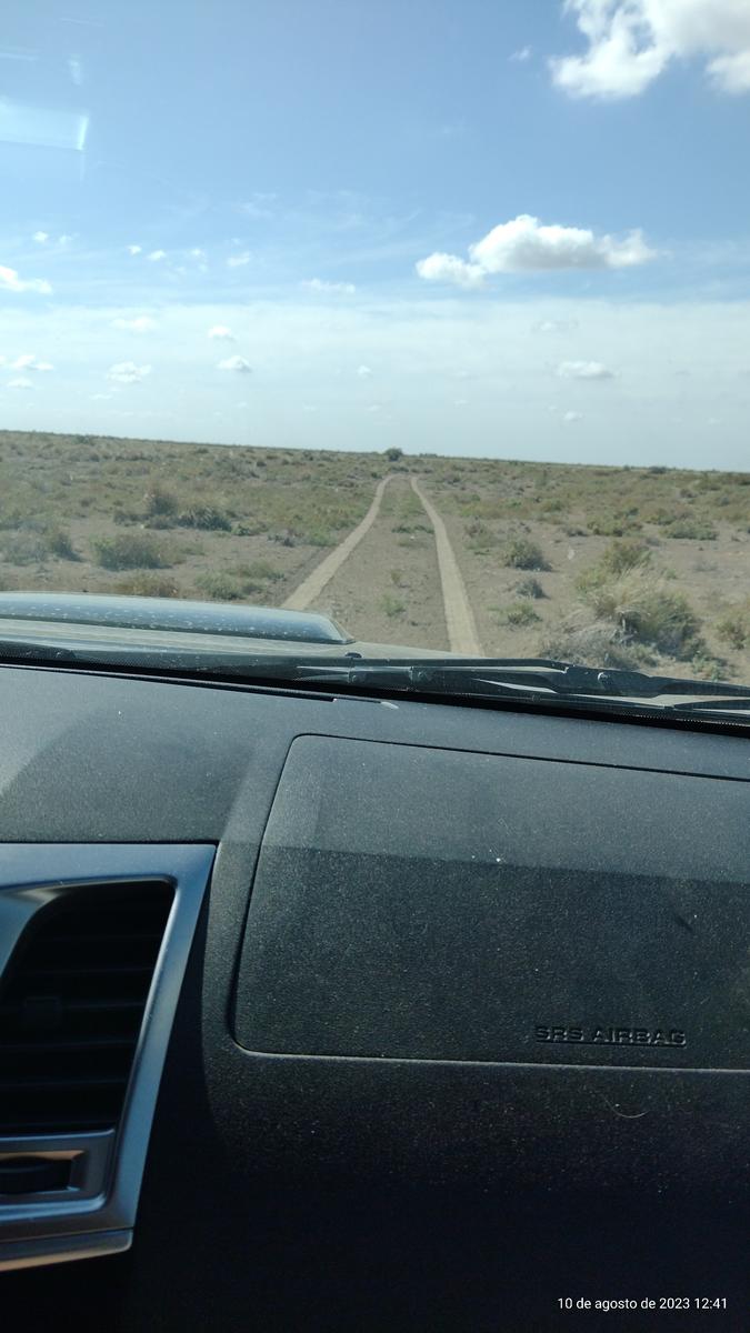 CAMPOS A DESARROLLAR