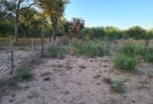 CAMPO EN VENTA, QUIMILI, SANTIAGO DEL ESTERO, 25 ha.