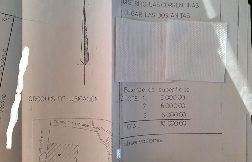 CAMPOS A DESARROLLAR