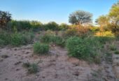 CAMPO EN VENTA, QUIMILI, SANTIAGO DEL ESTERO, 25 ha.