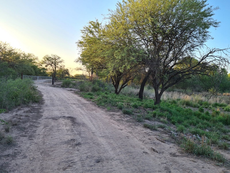 CAMPO EN VENTA, QUIMILI, SANTIAGO DEL ESTERO, 25 ha.